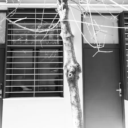 Jasmine Διαμέρισμα